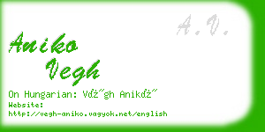 aniko vegh business card